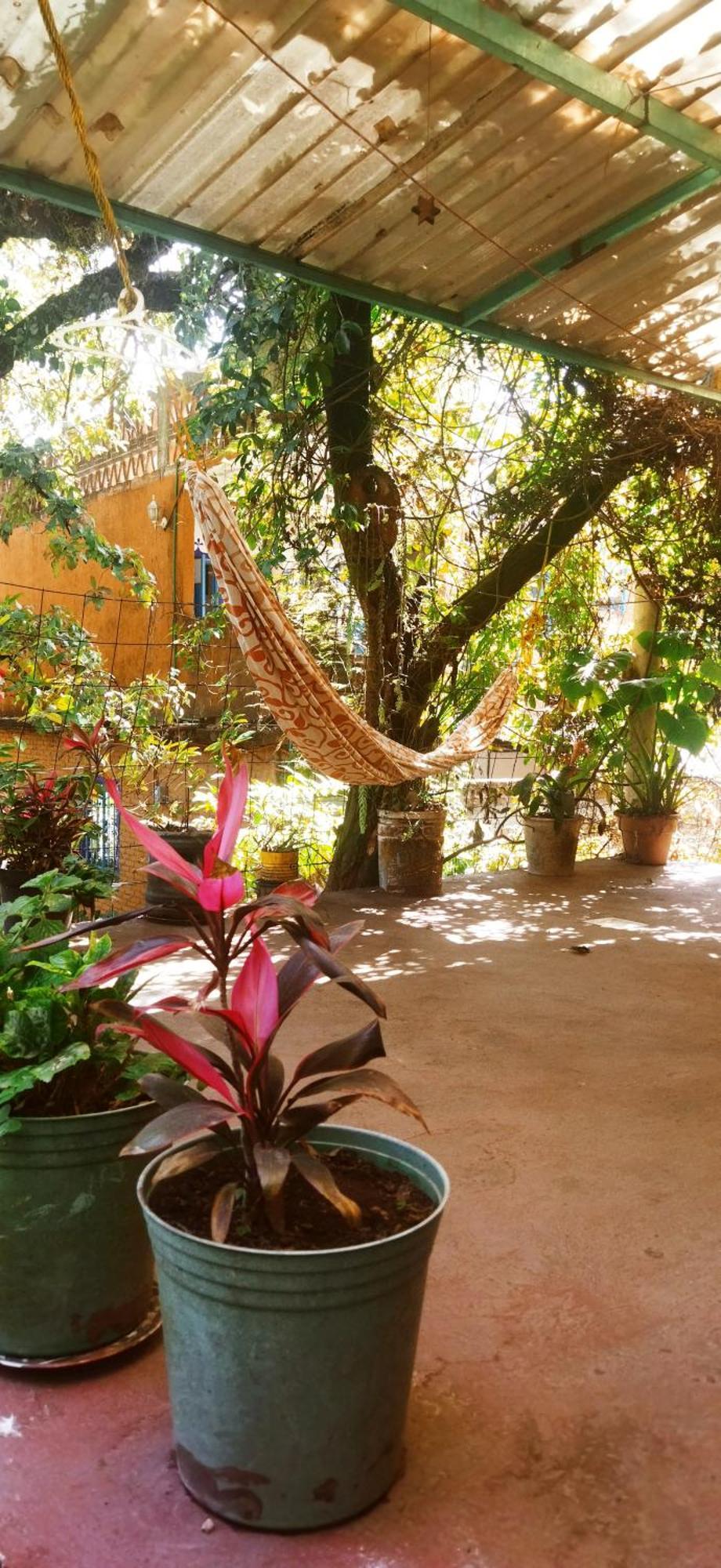 Casa Ecologica Apartment Тепоцтлан Екстериор снимка