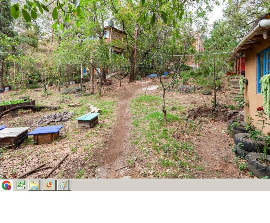 Casa Ecologica Apartment Тепоцтлан Екстериор снимка