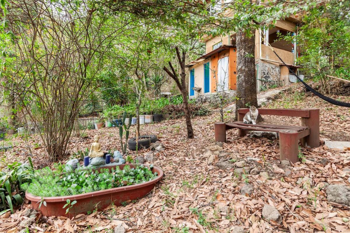 Casa Ecologica Apartment Тепоцтлан Екстериор снимка